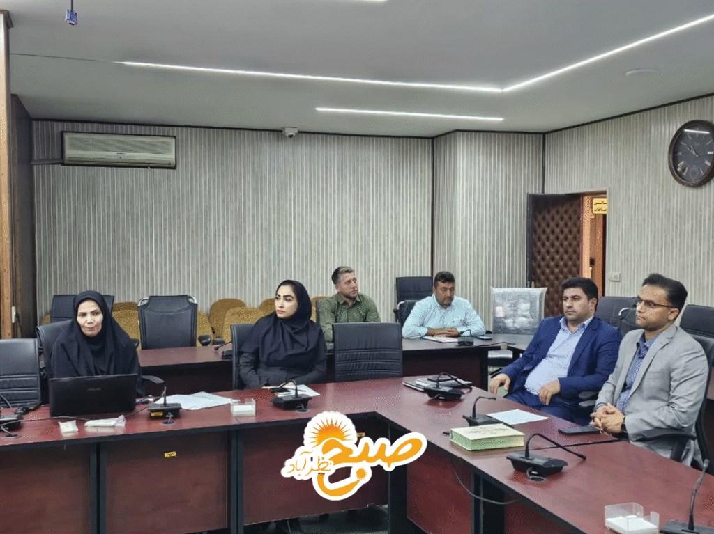 ضرب‌الاجل فرماندار نظرآباد: مدیران، یک ماه دیگر با ویلچر به میز خدمت می‌آیند!