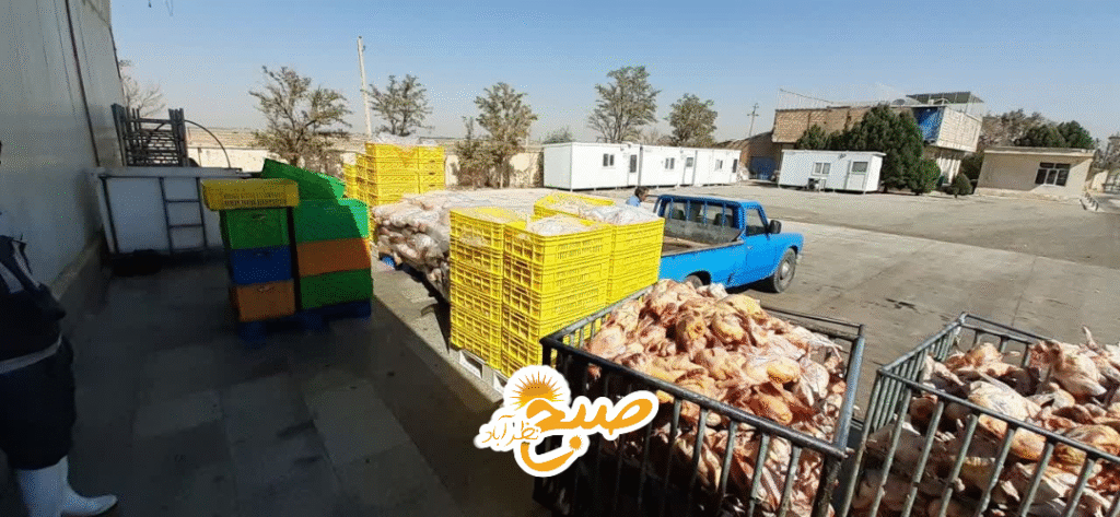 ۵ تُن مرغ فاسد در کشتارگاه نظرآباد معدوم شد!