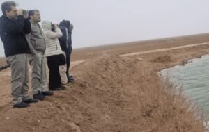 سرشماری پرندگان مهاجر آبزی در البرز سرشماری پرندگان مهاجر آبزی در البرز