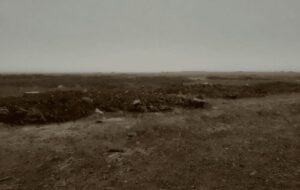 ناکامی‌سوداگران اراضی ملی در نظرآباد