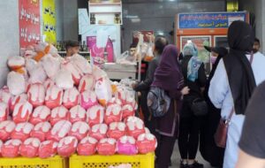 پیشبینی کاهش بیشتر قیمت مرغ در روزهای آینده پیشبینی کاهش بیشتر قیمت مرغ در روزهای آینده
